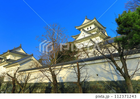 【岐阜県】晴天の大垣城 【岐阜県】晴天の大垣城 112371243