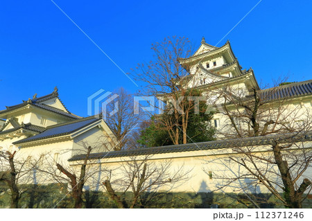 【岐阜県】晴天の大垣城 112371246