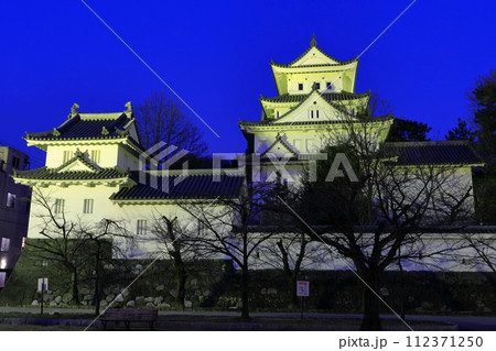 【岐阜県】大垣城の夜景 112371250