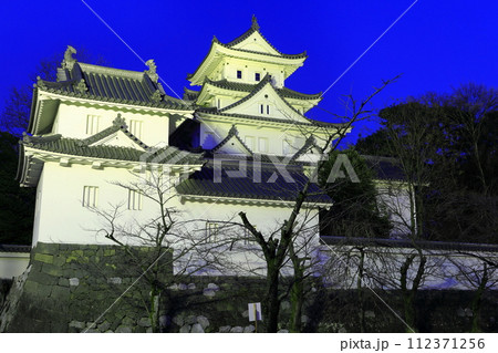 【岐阜県】大垣城の夜景 112371256