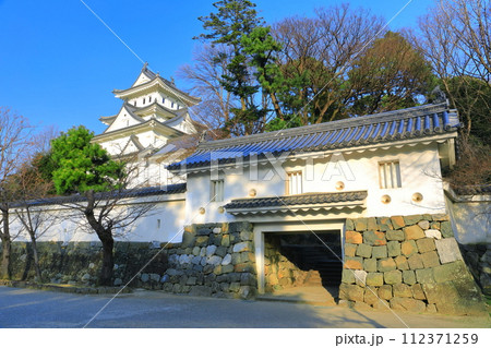 【岐阜県】晴天の大垣城 112371259