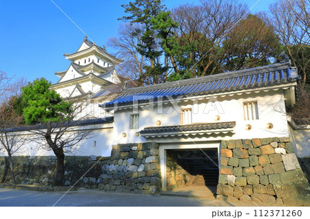 【岐阜県】晴天の大垣城 112371260