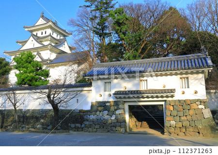 【岐阜県】晴天の大垣城 112371263