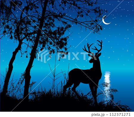 Silhouette of trees by the lake. Vector drawing 112371271