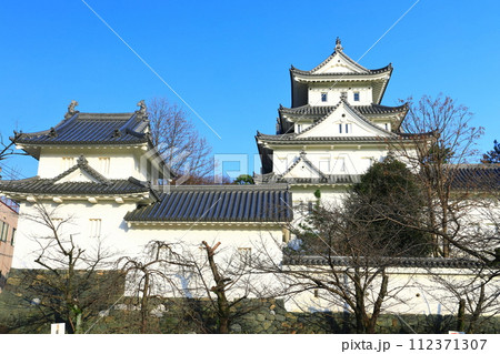 【岐阜県】快晴の大垣城 112371307