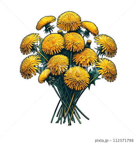 たんぽぽの花束 112371798