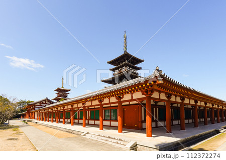 【奈良県】奈良市 薬師寺 (2024/02/28撮影) 112372274