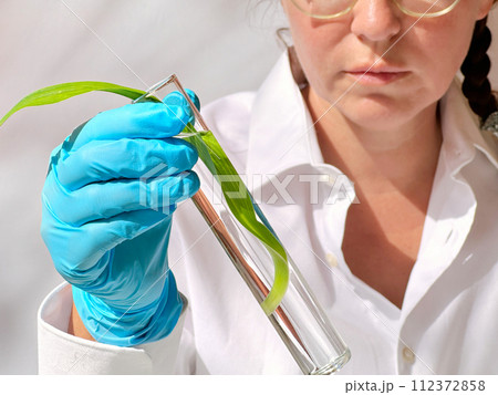 Science and nature concept 112372858