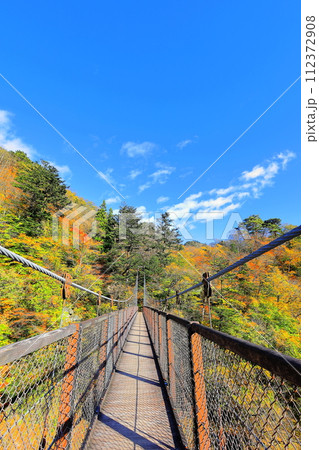 塩原渓谷 回顧の吊り橋/栃木県那須塩原市 塩原渓谷 回顧の吊り橋/栃木県那須塩原市 112372908