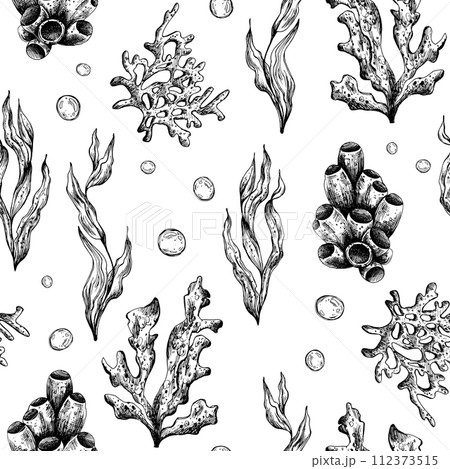 Underwater world clipart with sea animals coral and algae. Graphic illustration hand drawn in black ink. Seamless pattern EPS vector. 112373515