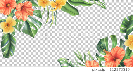 Tropical palm leaves, monstera and flowers of plumeria, hibiscus, bright juicy. Hand drawn watercolor botanical illustration. Template, frame isolated from the background. Tropical palm leaves, monstera and flowers of plumeria, hibiscus, bright juicy. Hand drawn watercolor botanical illustration. Template, frame isolated from the background. 112373519