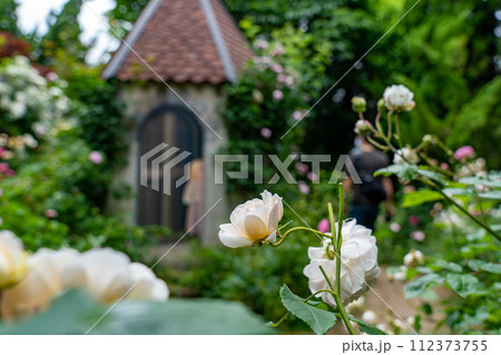 河口湖 音楽と森の美術館 112373755