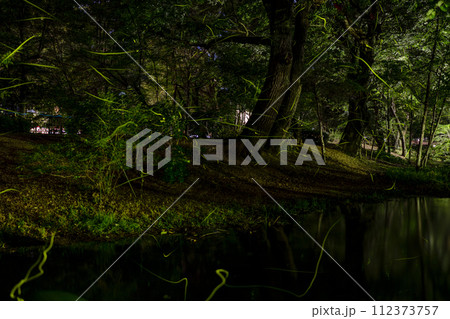 万力公園のホタル 万力公園のホタル 112373757