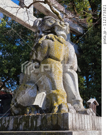 秩父神社 秩父神社 112373821