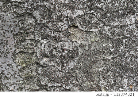 ケヤキの紋様 ケヤキの紋様 112374321