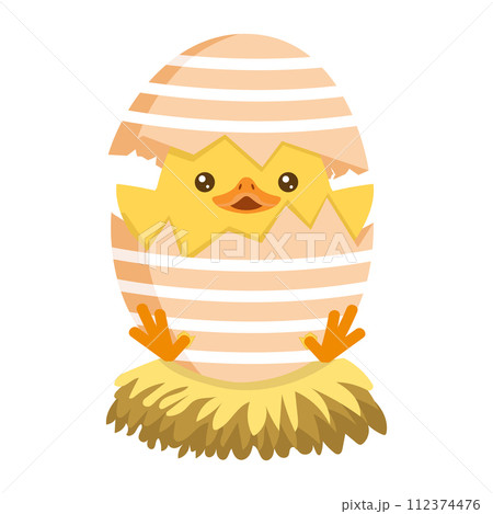 Little Chick Hatching Out The Egg easter Little Chick Hatching Out The Egg easter 112374476