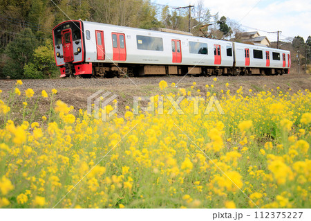 春の日豊本線を行く815系電車(JR九州) 春の日豊本線を行く815系電車(JR九州) 112375227