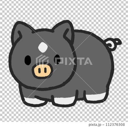 Black pig looking in front Black pig looking in front 112376308