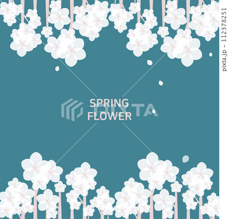 Pastel frame of cherry blossoms. 112378251