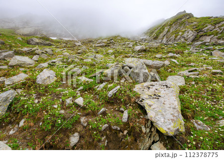 stones and boulders on the grassy hillside of ragaras range. outdoor adventures in the fog. mountainous landscape of romania in summer 112378775