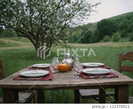 Country picnic concept. Country picnic concept. 112378921
