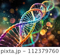 DNAのらせん構造モデル002 112379760