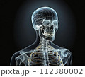 人体骨格透過図モデル003 112380002