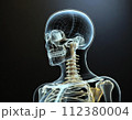 人体骨格透過図モデル001 112380004