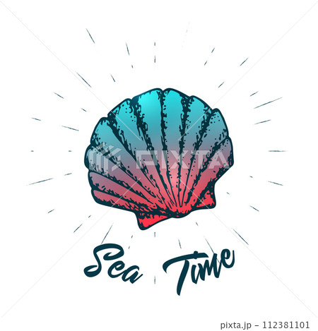 Seashell and lettering vector design. Sea creature summer hand drawn print.  112381101