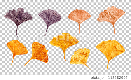 Design modern leaf imprint of biloba. Leaves in golden, brown colors. Gingko leaf. Ginkgo, palm, dry abstract fan leaves. Watercolor illustration of leaf silhouettes. For graphic decor, wedding Design modern leaf imprint of biloba. Leaves in golden, brown colors. Gingko leaf. Ginkgo, palm, dry abstract fan leaves. Watercolor illustration of leaf silhouettes. For graphic decor, wedding 112382995