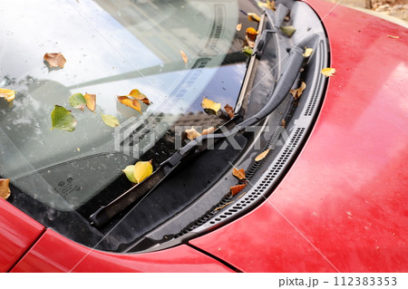 Parts of a car body close-up. 112383353