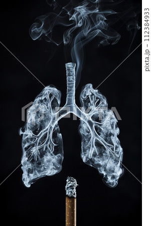 Cigarette and lungs, conceptual image of smoking and health problems Cigarette and lungs, conceptual image of smoking and health problems 112384933