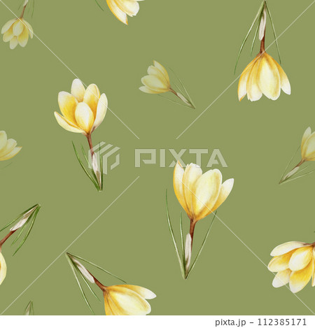 Watercolor seamless pattern with yellow blooming crocus flowers isolated on background. Spring and easter botanical hand painted saffron illustration. For designers, wedding, decoration, postcards, Watercolor seamless pattern with yellow blooming crocus flowers isolated on background. Spring and easter botanical hand painted saffron illustration. For designers, wedding, decoration, postcards, 112385171