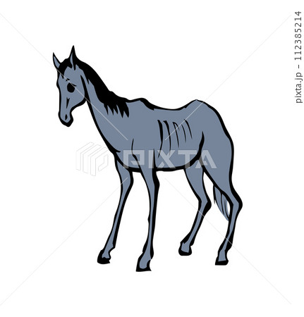 Starving skinny horse. Vector drawing Starving skinny horse. Vector drawing 112385214