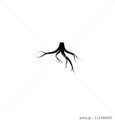 root vector logo 112386085