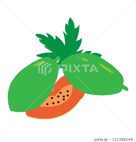 papaya logo vektor papaya logo vektor 112386249