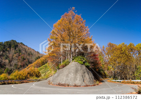 野麦峠・ヘアピンカーブの紅葉【長野県道・岐阜県道39号奈川野麦高根線】 112386572
