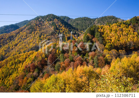 野麦峠周辺の鮮やかな紅葉 112386711