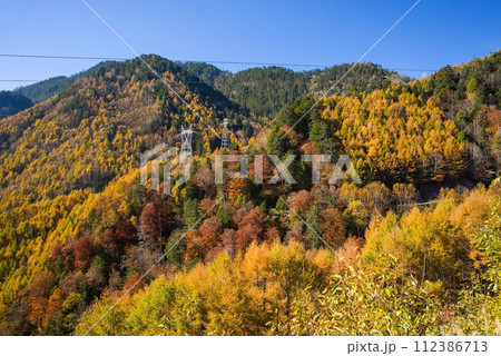 野麦峠周辺の鮮やかな紅葉 112386713