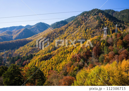 野麦峠周辺の鮮やかな紅葉 112386715