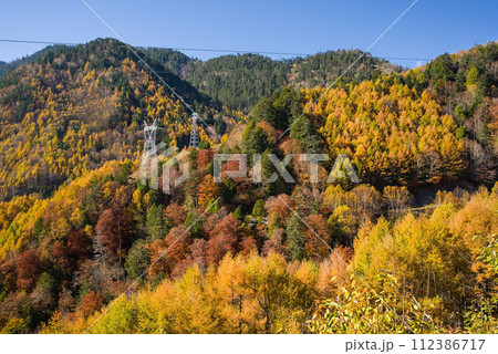 野麦峠周辺の鮮やかな紅葉 112386717