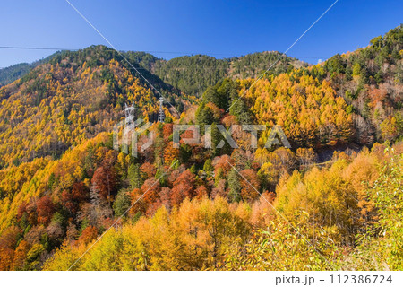 野麦峠周辺の鮮やかな紅葉 112386724