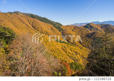野麦峠周辺の鮮やかな紅葉 野麦峠周辺の鮮やかな紅葉 112386728