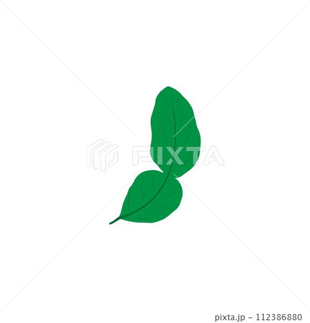 lime leaves logo 112386880