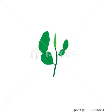 lime leaves logo 112386881