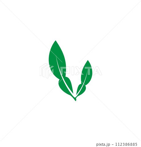 lime leaves logo 112386885