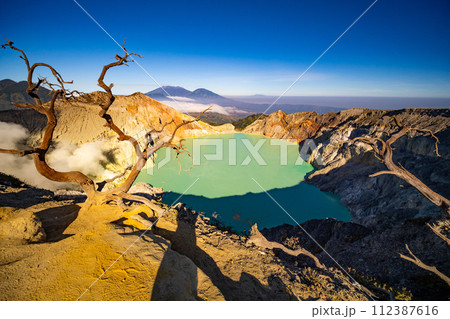 Deadwood Leafless Tree with Turquoise Water Lake,Beautiful nature Landscape mountain and green lake at Kawah Ijen volcano,East Java, Indonesia 112387616
