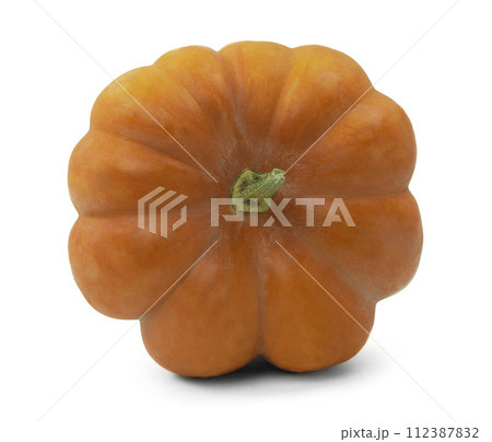 Ripe orange pumpkin on white background. Growing pumpkin. Pumpkin is an autumn food. Ripe orange pumpkin on white background. Growing pumpkin. Pumpkin is an autumn food. 112387832