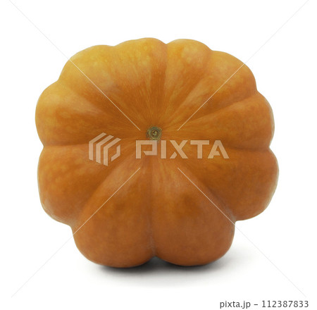 Ripe orange pumpkin on white background. Growing pumpkin. Pumpkin is an autumn food. Ripe orange pumpkin on white background. Growing pumpkin. Pumpkin is an autumn food. 112387833
