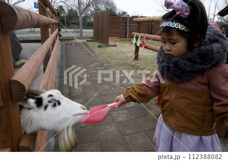 姫路セントラルパークの山羊への餌やり 112388082